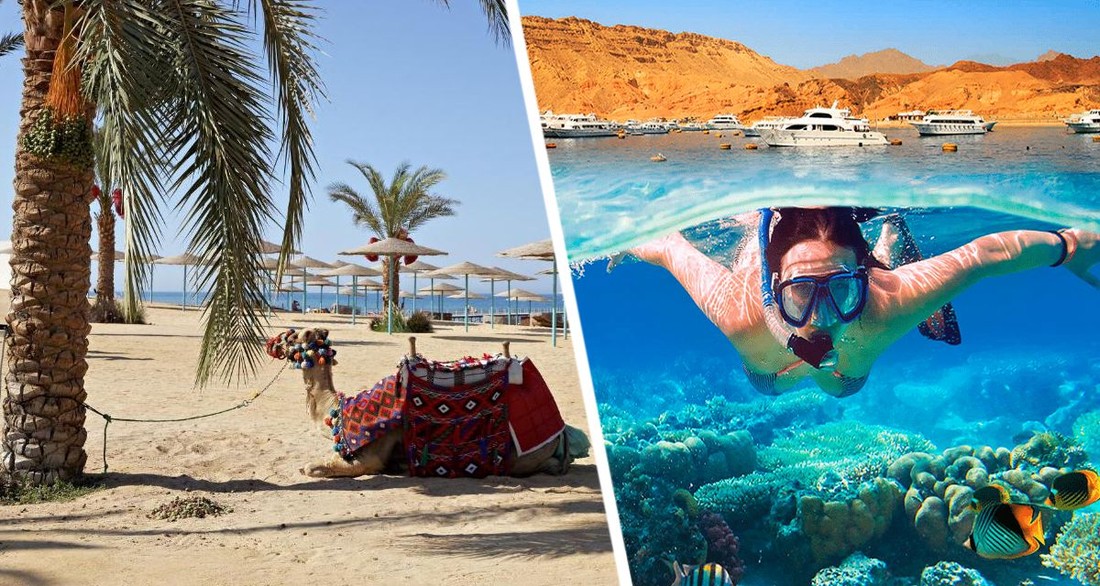 Цены на туры в Египет скоро резко подешевеют