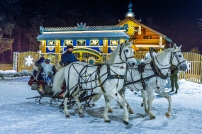Автобусный тур «Новогодняя сказка в Воронежской усадьбе»