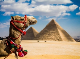 29.12.2017, Египет в 2017 посетили 100 тысяч РФ туристов