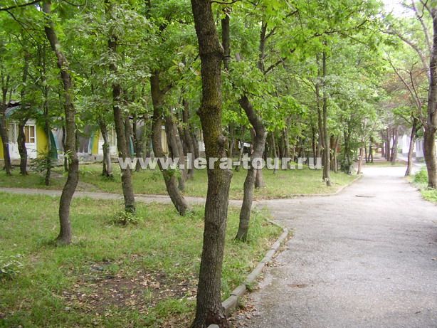   Территория базы