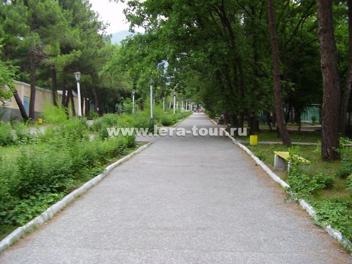   Территория базы